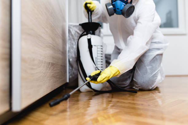 Best Insect Control  in Forestville, CA