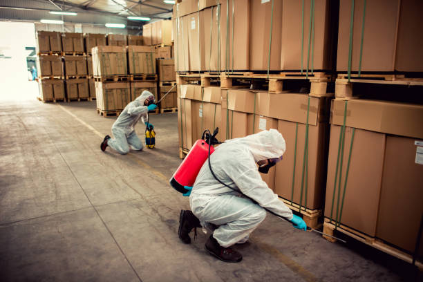 Wildlife Control Services in Forestville, CA