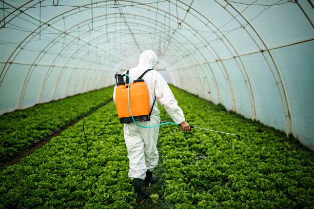 Best Pest Prevention Services  in Forestville, CA