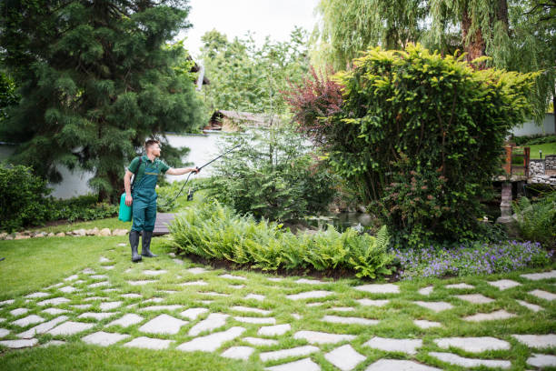 Best Pest Inspection Near Me  in Forestville, CA