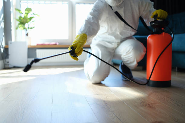 Best Local Pest Control Services  in Forestville, CA