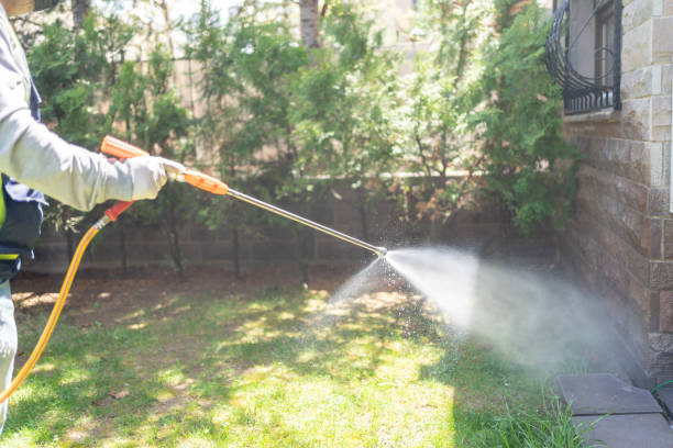 Best Mosquito Control Services  in Forestville, CA