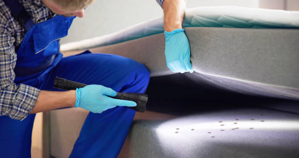 Best Wasp Removal Services  in Forestville, CA