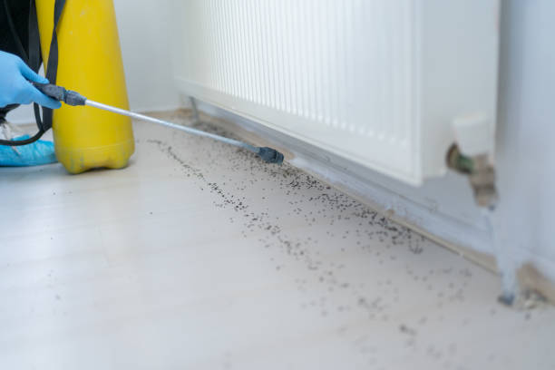 Best Commercial Pest Control Services  in Forestville, CA