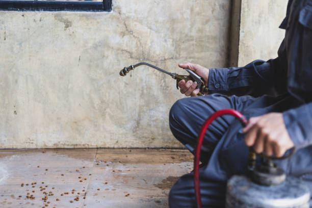Best Best Pest Control Companies  in Forestville, CA